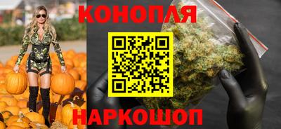 прущие грибы Лениногорск
