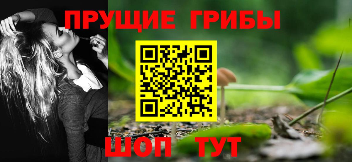Псилоцибиновые грибы ЛСД Волгодонск
